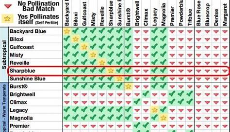 Daleys Fruit Tree Blog: Blueberry Plant Pollination Chart - Which