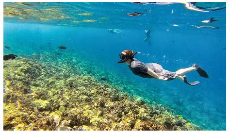 Maui Snorkeling with Kids | Best Family Snorkel Tour in Maui