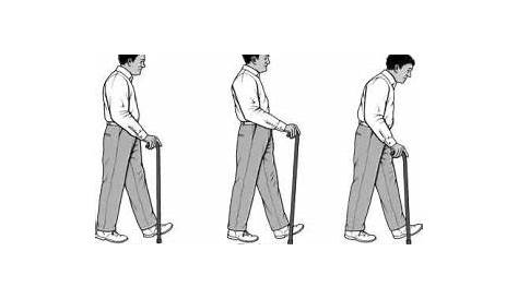 walking stick height chart