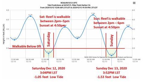 wells beach tide chart
