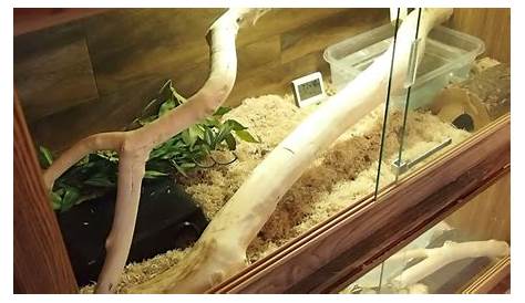How to Clean a Snake Tank- 3 Methods – Animals at Home