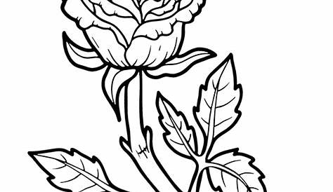 roses flower pictures to color free printable