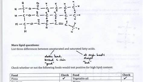 Pogil Types Of Chemical Reactions Worksheet / Classifying Types Of
