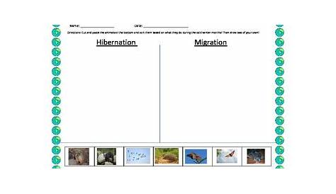 hibernation and migration worksheet
