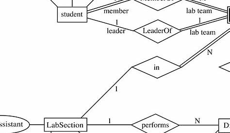 Er Diagram For University Admission System | ERModelExample.com