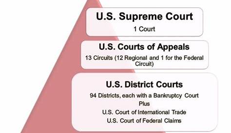 federal and state court scenarios worksheet answer key