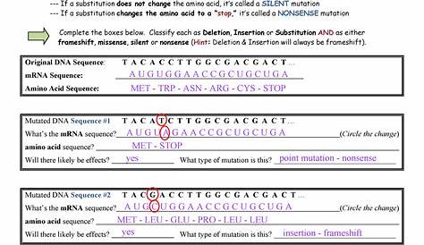 dna mutations worksheet answers