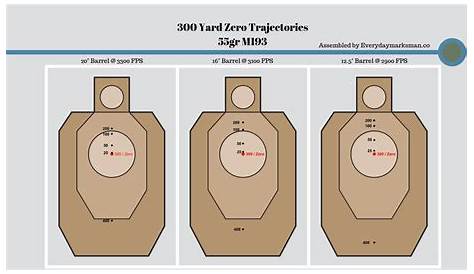 Barrel Length, Trajectory, and Learning Your Zero - Everyday Marksman
