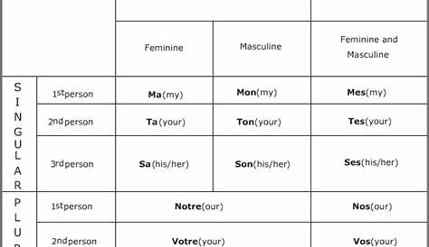 french possessive adjectives chart