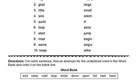 Antonym Worksheet 3rd Grade