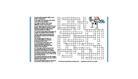 human body systems crossword puzzle worksheets answers