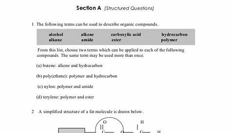 macromolecule coloring worksheet