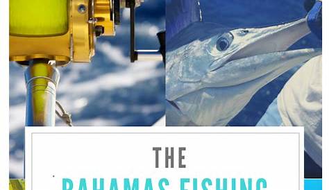 Fishing Reports for The Bahamas listed by month, created by the Bahamas
