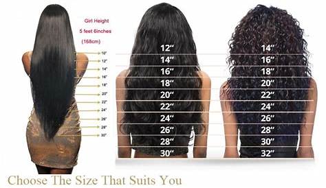 Hair Length Chart For Braids
