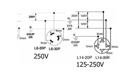 4 Prong Generator Plug Wiring Diagram - Database - Wiring Diagram Sample