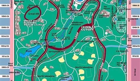 Central Park Runner's Map | Illustrated map, Map, Navigation map
