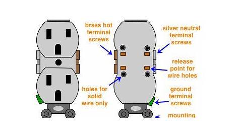 diagram of a duplex receptacle outlet | Receptacles, Switches, Electricity