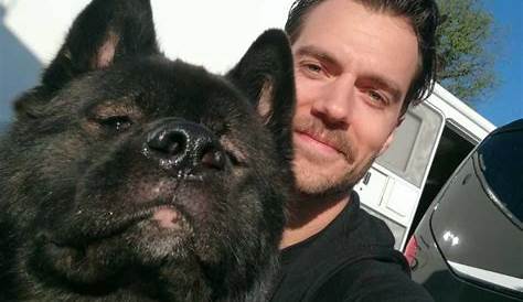 Henry Cavill Shares Clip Celebrating Star Wars Day With Dog Kal-El
