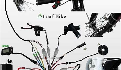 48v Electric Scooter Wiring Diagram E - Eve Lane