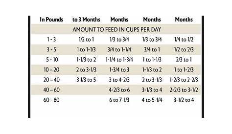 frenchie puppy feeding chart