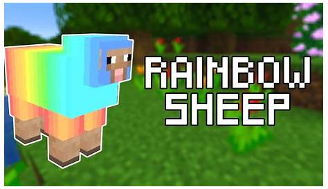 how to make sheep follow you in minecraft