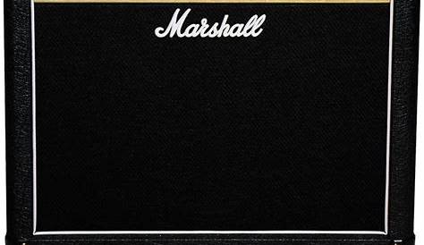Marshall DSL-401 40 Watt Valve Amplifier Combo. Its the smallest Tube
