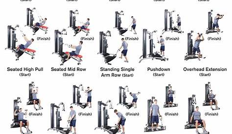 Gym workout chart, Workout chart, Multi gym