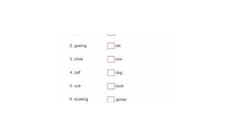 grammar opposites worksheet 10 grade