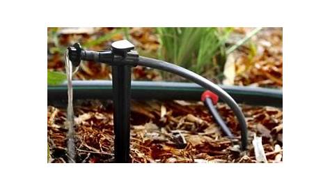 A Complete Guide To Drip Irrigation