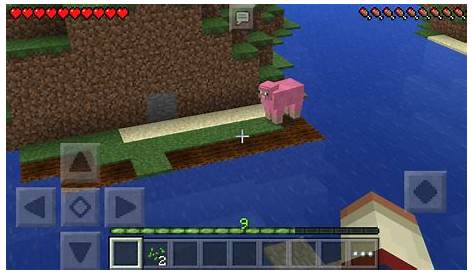 Rare Pink Sheep found today in Minecraft Pocket Edition v0.14.0