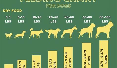 how much food should i feed my dog chart
