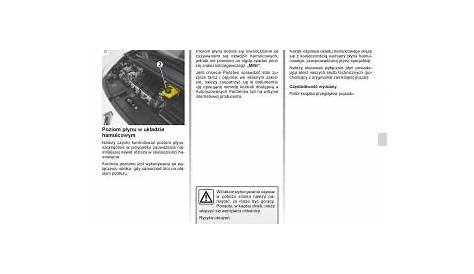 manual Renault Scenic Renault Scenic III 3 instrukcja page 173 - pdf