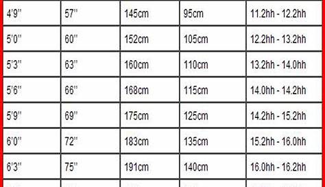 horse rug size chart