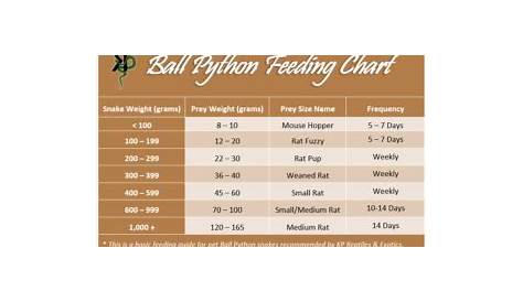 Ball Pythons – Care & Feeding Guide – KP Exotics