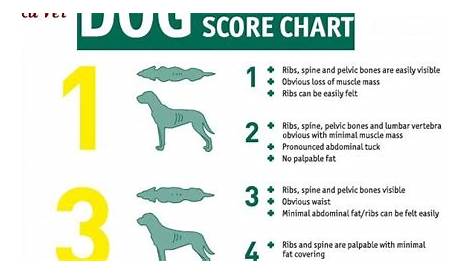 LankaVet: Body Condition Score Charts of Dogs and Cats