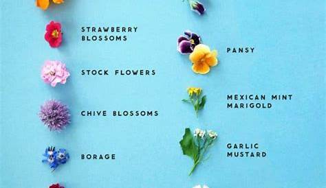 How to Use Edible Flowers - This Healthy Table