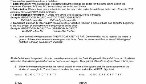 gene mutation worksheet answer key
