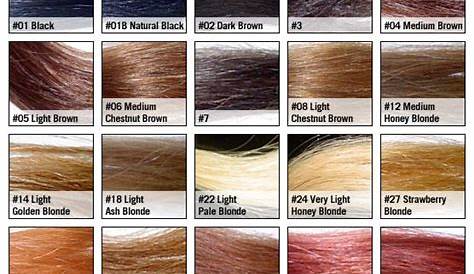 natural brown hair color chart | Hair color chart, Hair color brown