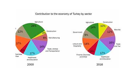 IELTS Pie Chart: band 9 strategy