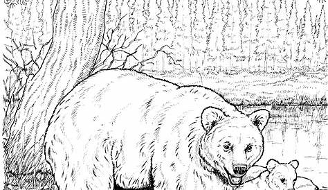 printable coloring pages animals