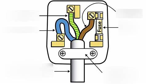 Wiring a plug Diagram | Quizlet