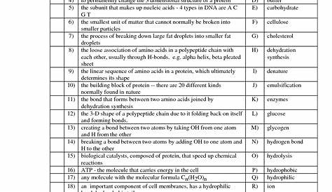 14 Best Images of Biological Molecules Worksheet Answers - Organic