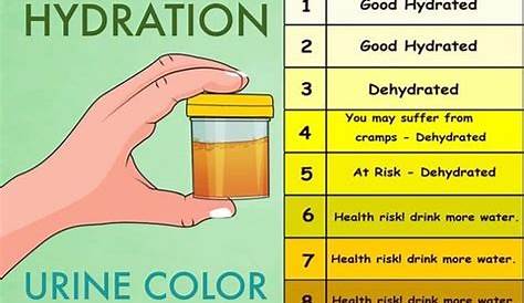 Urine color hydration chart - Rush Fitness Gym Tagum City