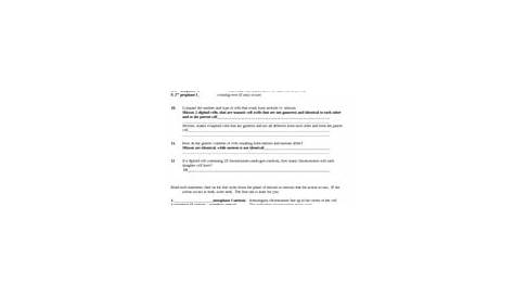 meiosis 1 and 2 worksheet answers