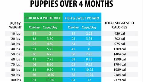 how much food should i feed my dog chart