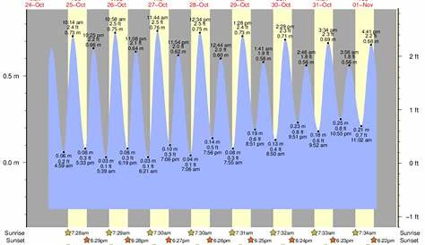 Myrtle Beach - Pier 14 Tide Times & Tide Charts