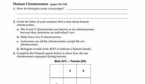 14.1 Human Chromosomes Answers Pdf : 3 Number Of Chromosomes Worksheet