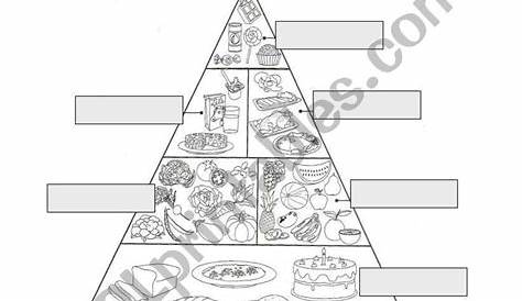 food pyramid worksheet for kindergarten