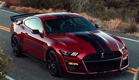 2019 ford mustang shelby gt500