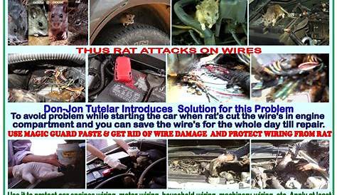 rat damage to car wiring